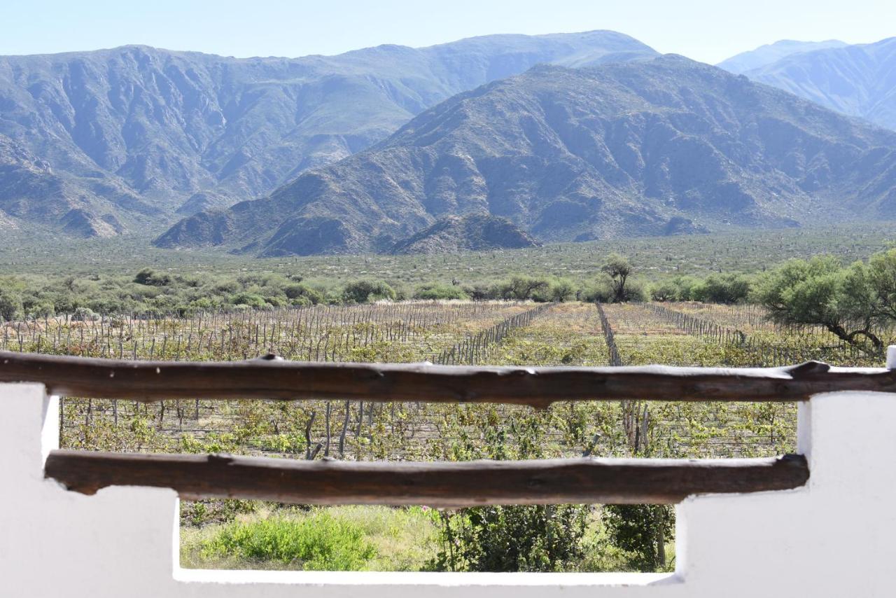 De Vinas Country house Tolombon